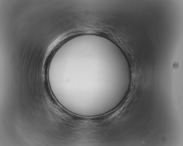 X0000113540246200909181030