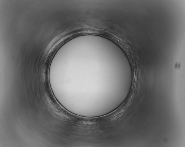 X0000113540247200909181030
