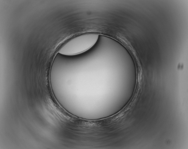 X0000113540249200909181030