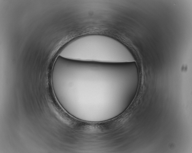 X0000113540250200909181030
