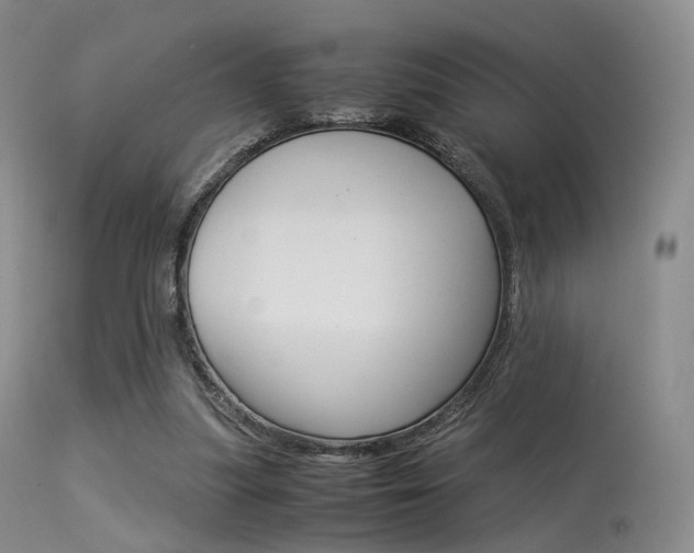 X0000113540251200909181030