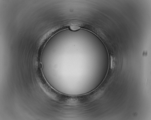 X0000113540252200909181030