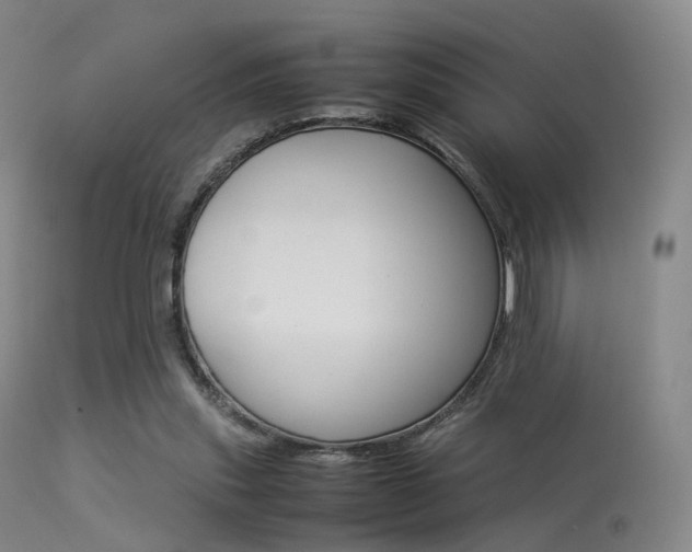 X0000113540253200909181030