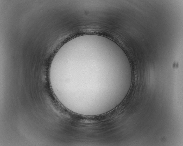 X0000113540255200909181030