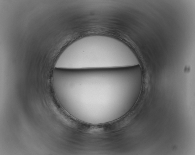 X0000113540257200909181030
