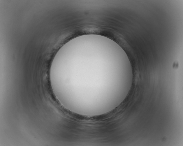 X0000113540259200909181030