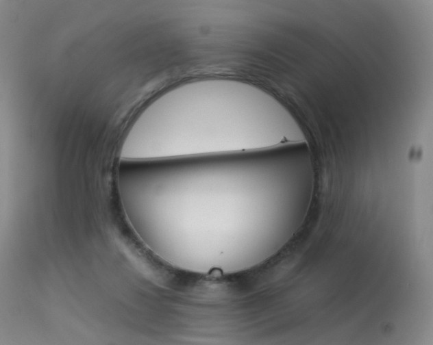 X0000113540260200909181030