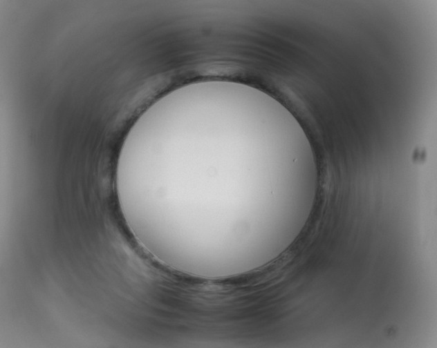 X0000113540261200909181030