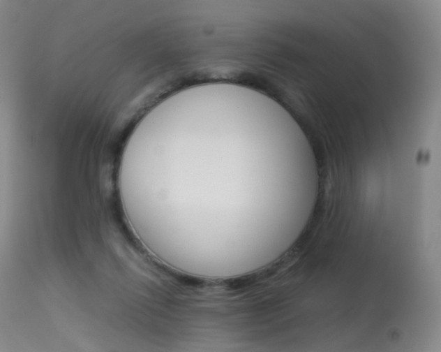 X0000113540262200909181030