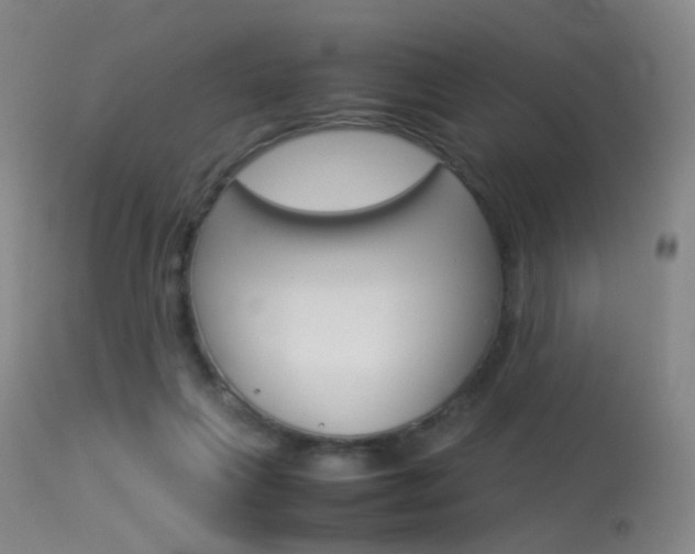 X0000113540263200909181030