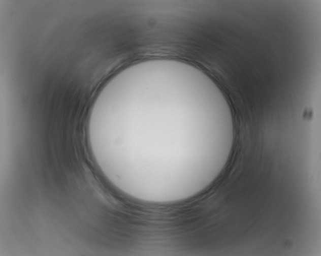 X0000113540264200909181030