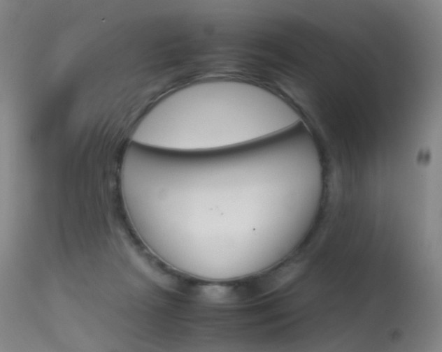 X0000113540265200909181030
