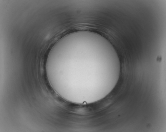 X0000113540267200909181030