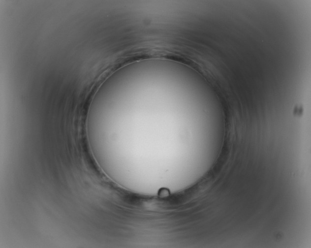 X0000113540268200909181030