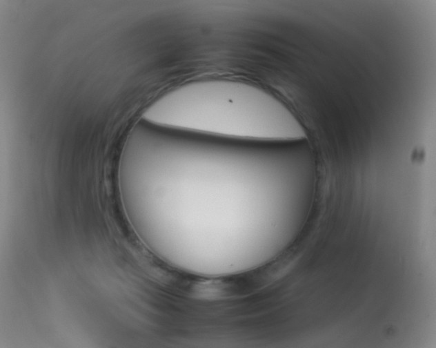 X0000113540269200909181030