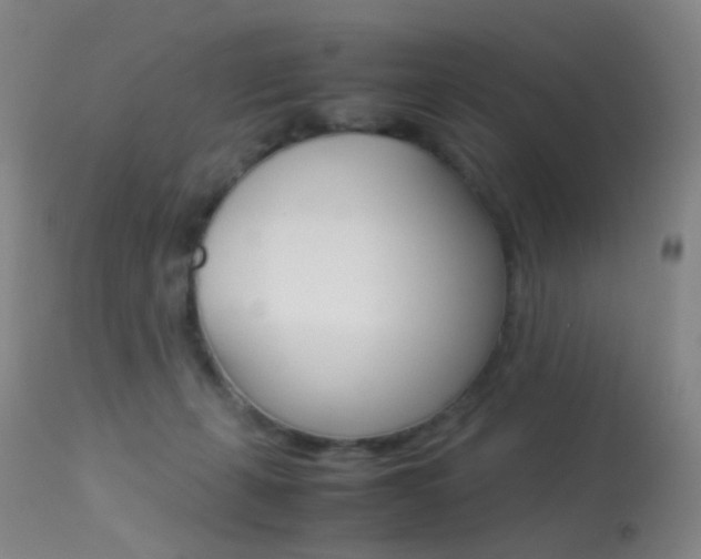 X0000113540271200909181030