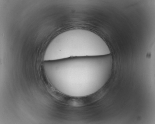 X0000113540275200909181030