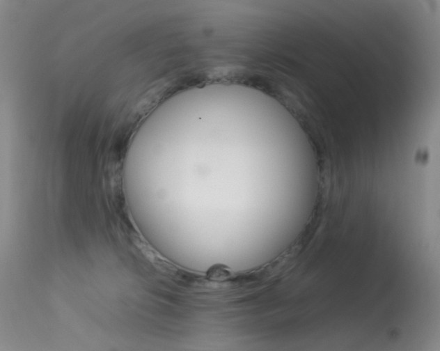 X0000113540276200909181030