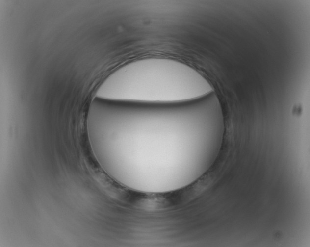 X0000113540278200909181030