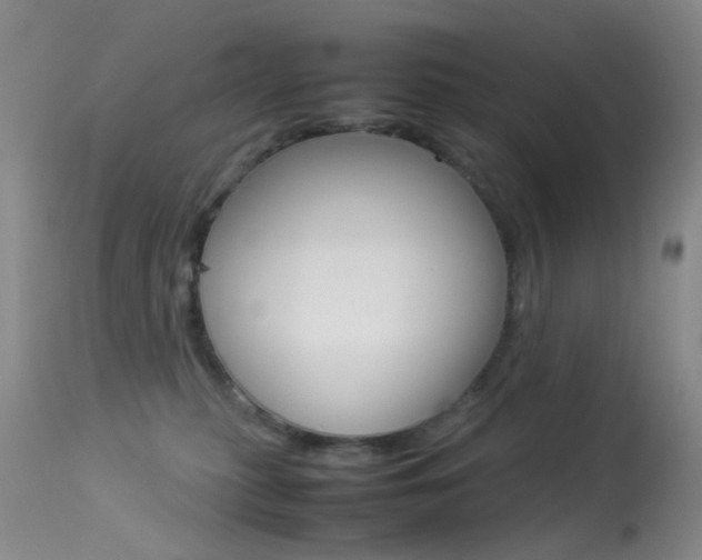 X0000113540279200909181030