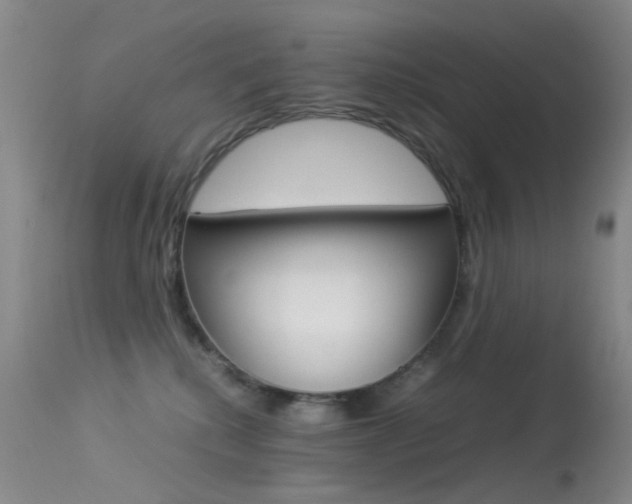 X0000113540280200909181030