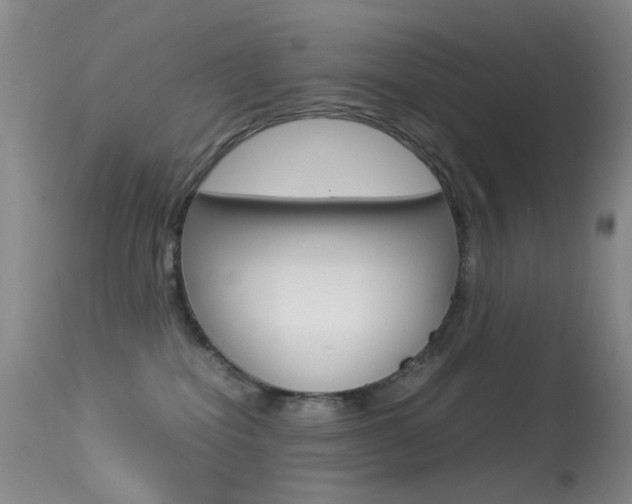 X0000113540282200909181030