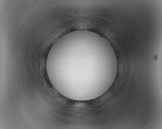 X0000113540283200909181030
