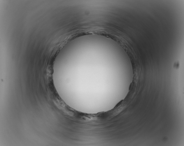 X0000113540284200909181030