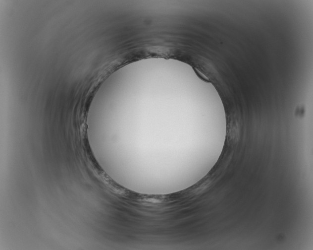 X0000113540285200909181030