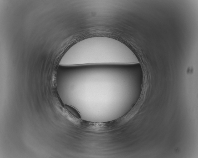 X0000113540288200909181030