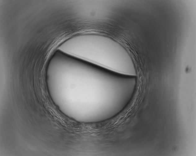 X0000113540289200909181030