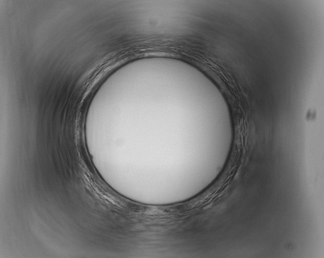 X0000113540290200909181029