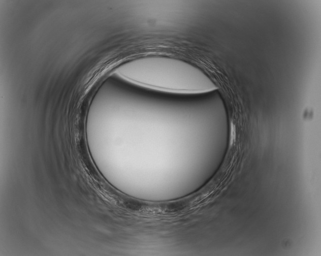 X0000113540291200909181029