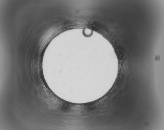 X0000113540293200909181029