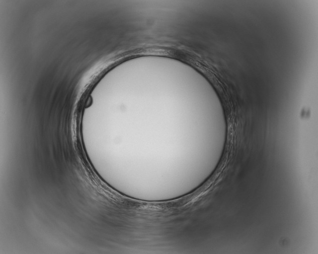 X0000113540294200909181029