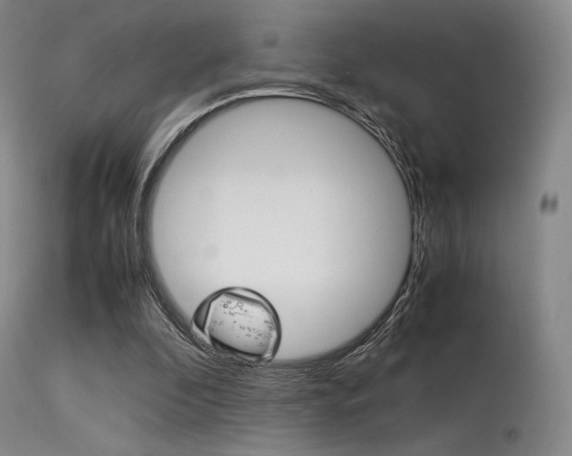 X0000113540296200909181029