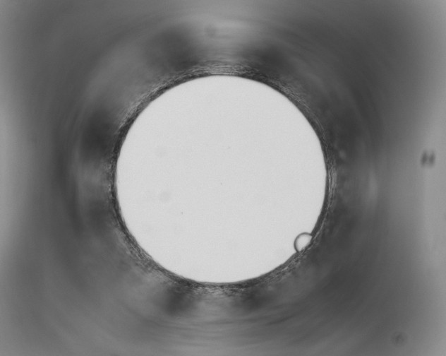 X0000113540297200909181029