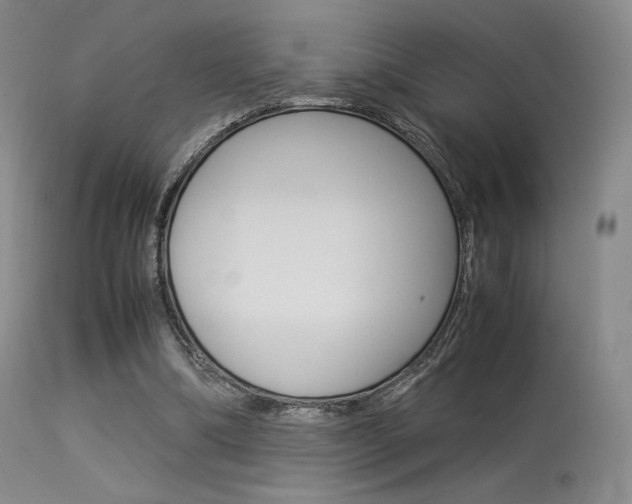 X0000113540298200909181029