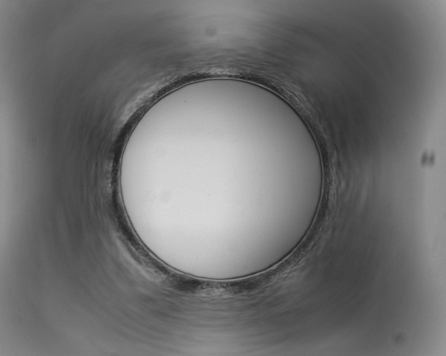 X0000113540299200909181029