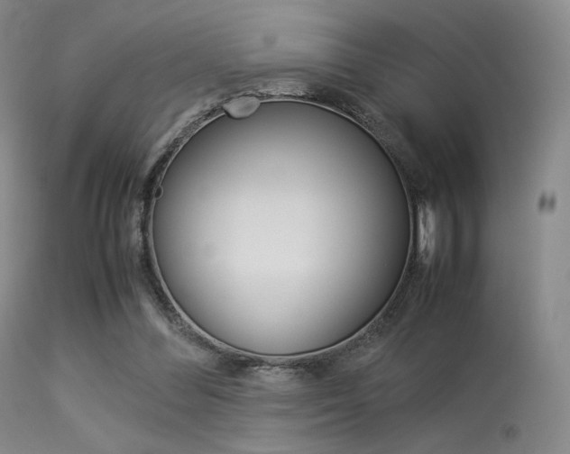 X0000113540300200909181029