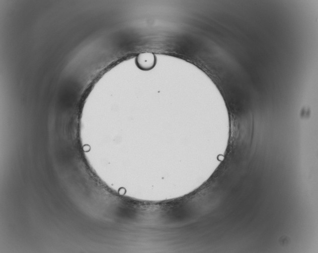 X0000113540301200909181029