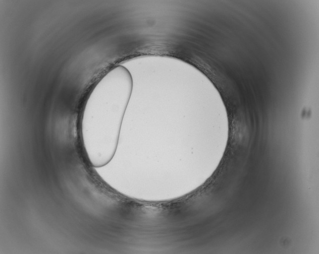 X0000113540302200909181029