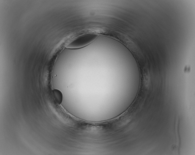 X0000113540304200909181029