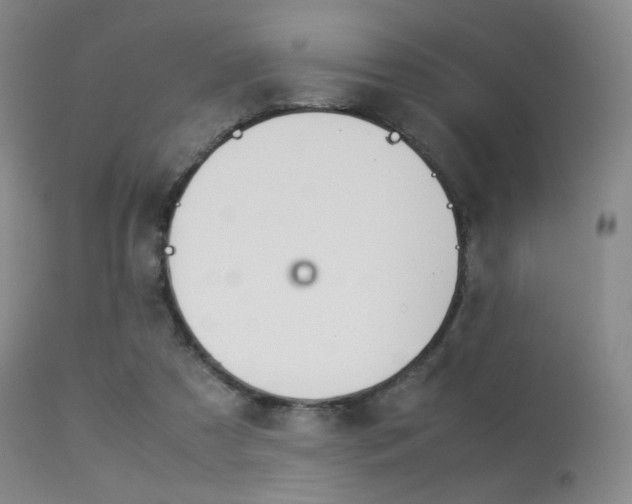 X0000113540305200909181029