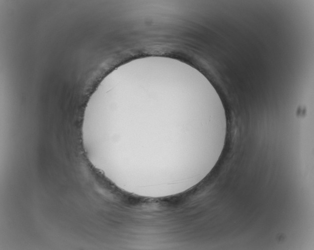 X0000113540307200909181029