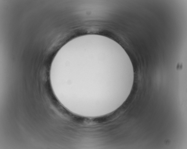 X0000113540311200909181029