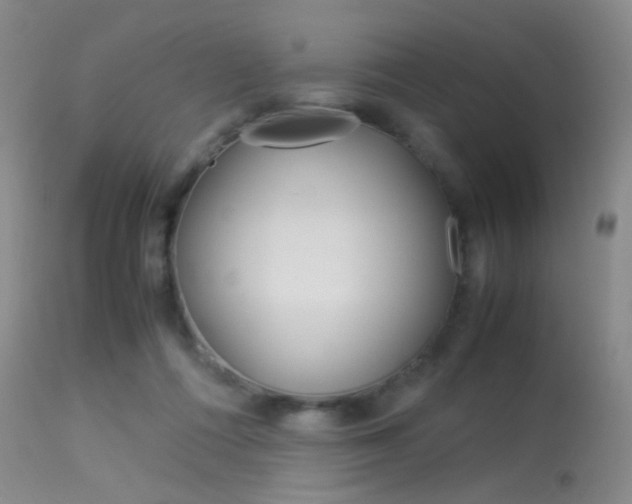 X0000113540312200909181029