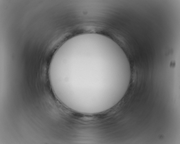 X0000113540314200909181029