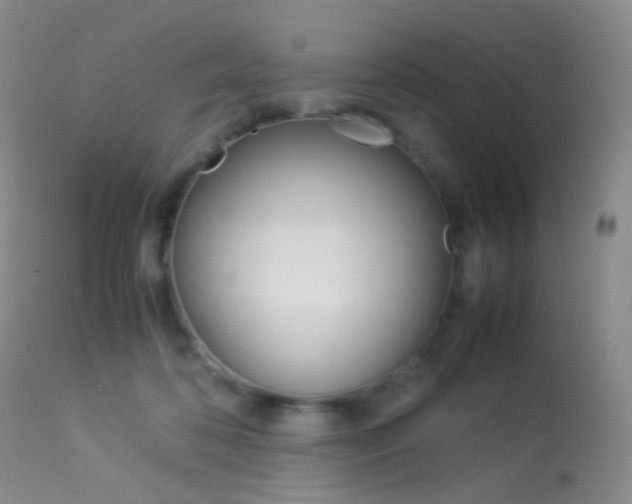 X0000113540316200909181029