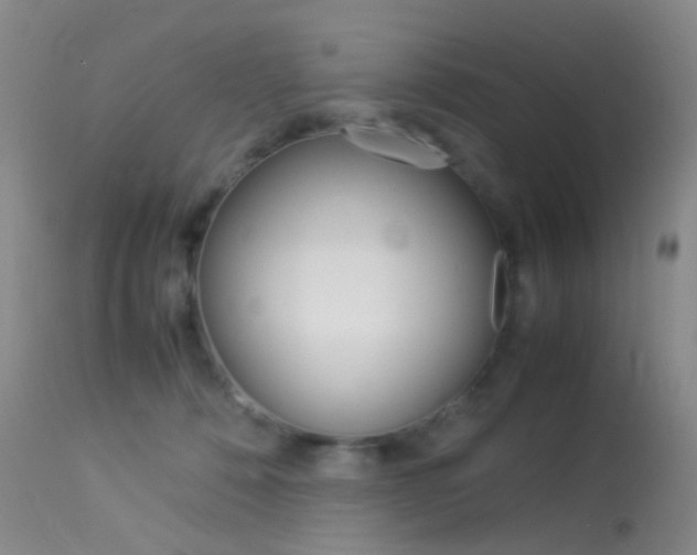 X0000113540320200909181029